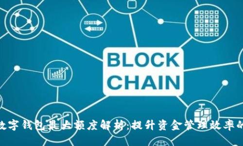 企业数字钱包最大额度解析:提升资金管理效率的关键