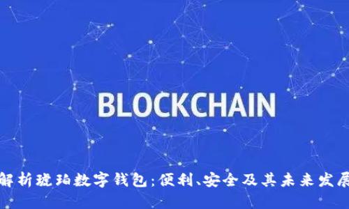 全面解析琥珀数字钱包:便利、安全及其未来发展趋势