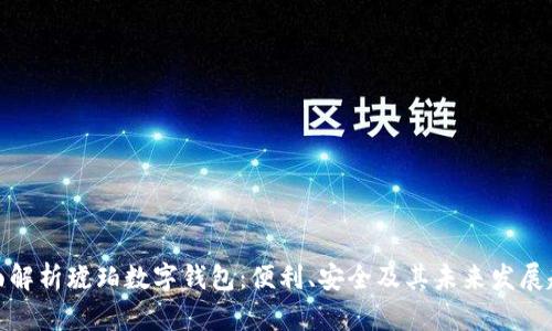 全面解析琥珀数字钱包:便利、安全及其未来发展趋势