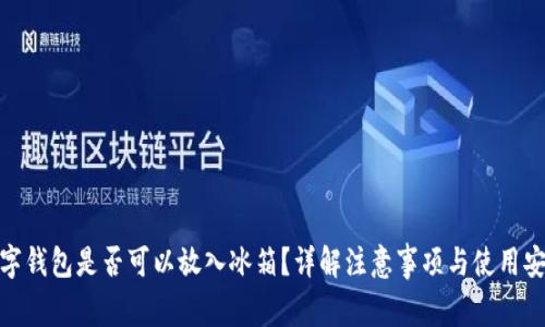 数字钱包是否可以放入冰箱?详解注意事项与使用安全