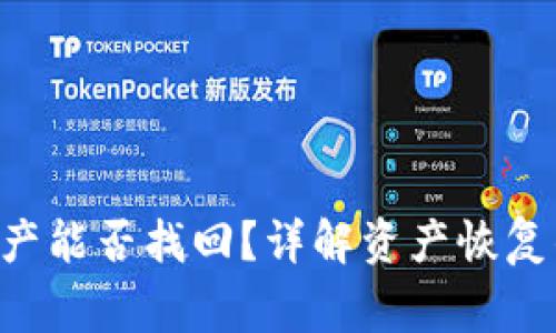 TP钱包APP删除资产能否找回?详解资产恢复的方法与注意事项