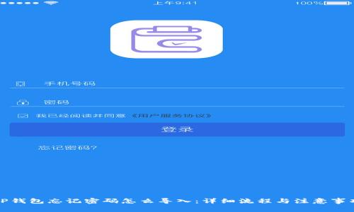 TP钱包忘记密码怎么导入:详细流程与注意事项
