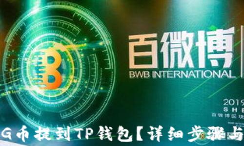 如何将PIG币提到TP钱包?详细步骤与注意事项