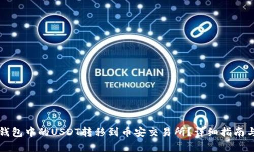 如何将TP钱包中的USDT转移到币安交易所?详细指南与步骤解析