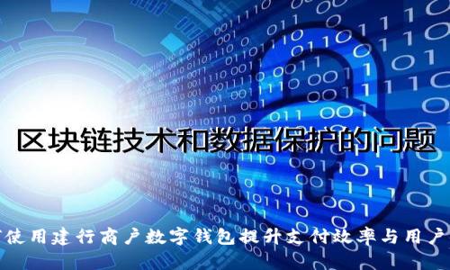 如何使用建行商户数字钱包提升支付效率与用户体验