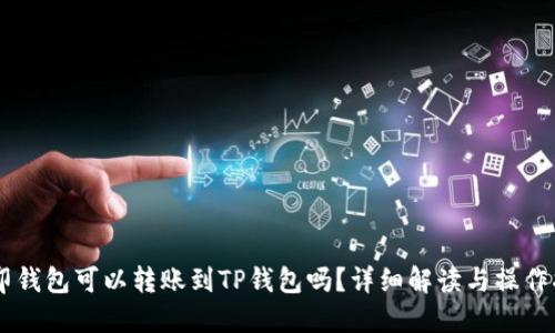 币印钱包可以转账到TP钱包吗?详细解读与操作指南