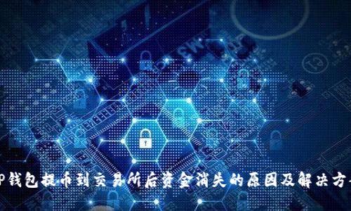 TP钱包提币到交易所后资金消失的原因及解决方案