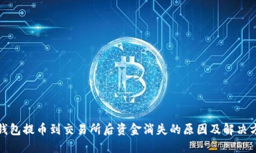 TP钱包提币到交易所后资金消失的原因及解决方案