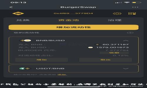 TP钱包公链的全景解析:在哪里找到并如何使用