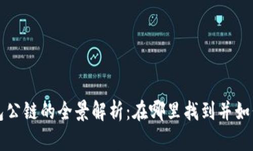 TP钱包公链的全景解析:在哪里找到并如何使用