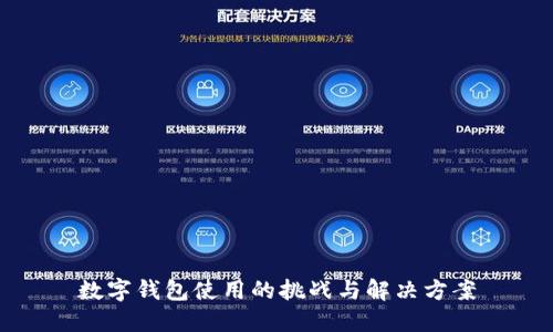数字钱包使用的挑战与解决方案