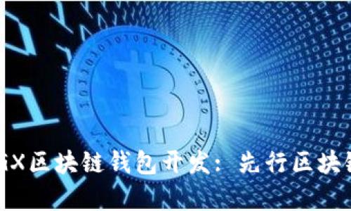 深入解析DOGX区块链钱包开发: 先行区块链钱包的未来