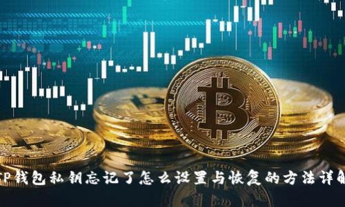 TP钱包私钥忘记了怎么设置与恢复的方法详解