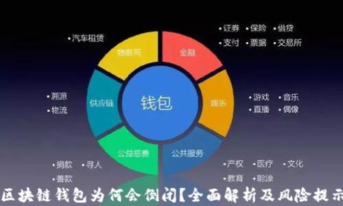 区块链钱包为何会倒闭?全面解析及风险提示