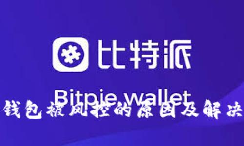 数字钱包被风控的原因及解决方案