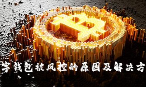 数字钱包被风控的原因及解决方案