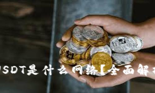 TP钱包中的USDT是什么网络?全面解析与使用指南