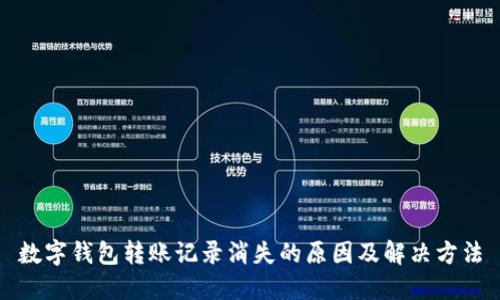 数字钱包转账记录消失的原因及解决方法