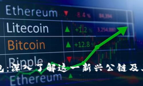 TP钱包:深入了解这一新兴公链及其功能
