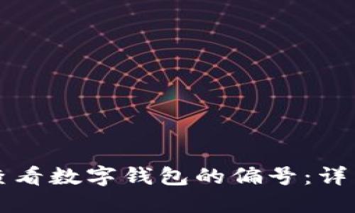 如何查看数字钱包的偏号:详细指南
