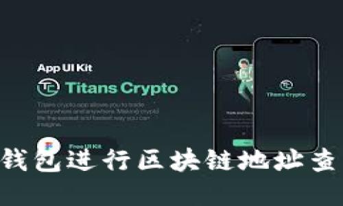 如何使用TP钱包进行区块链地址查询:详细指南
