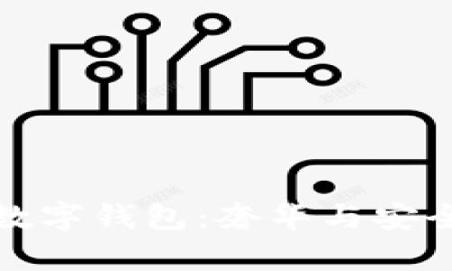 如何打造一个土豪的数字钱包:奢华与安全并存的金融管理方案