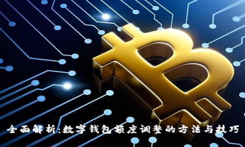 全面解析:数字钱包额度调整的方法与技巧