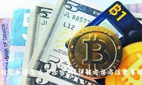 钱包加密怎么去除密码?详解方法与注意事项