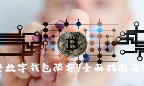 如何调整数字钱包限额:全面指南与实用技巧