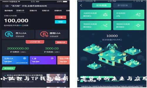 小狐狸与TP钱包解析:数字货币的未来与应用