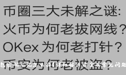 TP钱包密码忘记怎么办?详细解决方案及常见问题解答
