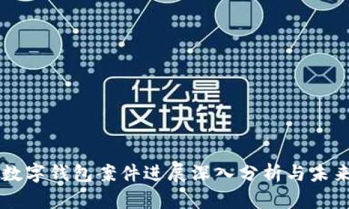 南安数字钱包案件进展深入分析与未来展望
