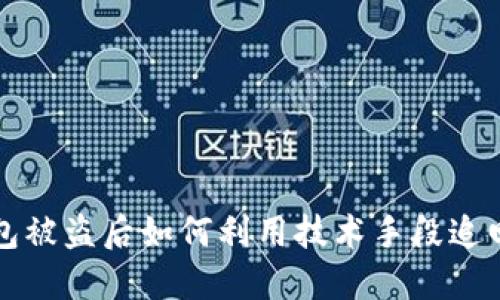 TP钱包被盗后如何利用技术手段追回资产