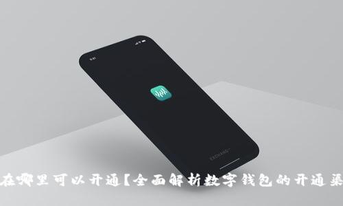 数字钱包在哪里可以开通?全面解析数字钱包的开通渠道与选择