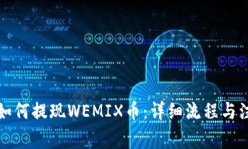 TP钱包如何提现WEMIX币:详细流程与注意事项