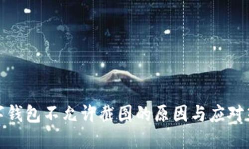 数字钱包不允许截图的原因与应对策略
