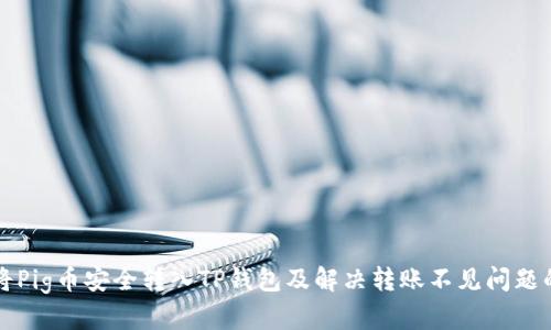 如何将Pig币安全转入TP钱包及解决转账不见问题的方法