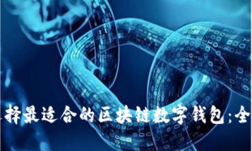 如何选择最适合的区块链数字钱包:全面指南