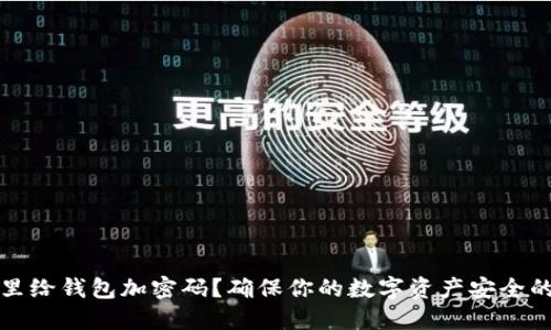 在哪里给钱包加密码?确保你的数字资产安全的方法