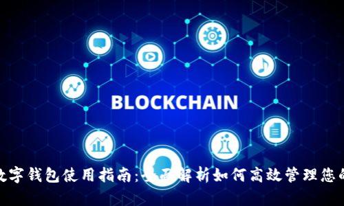 挪威数字钱包使用指南:全面解析如何高效管理您的资金