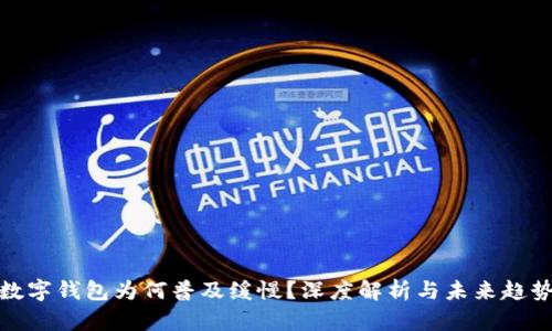 数字钱包为何普及缓慢?深度解析与未来趋势
