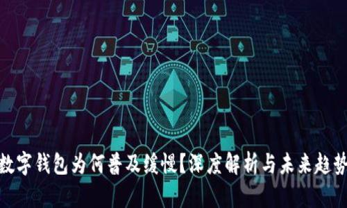 数字钱包为何普及缓慢?深度解析与未来趋势