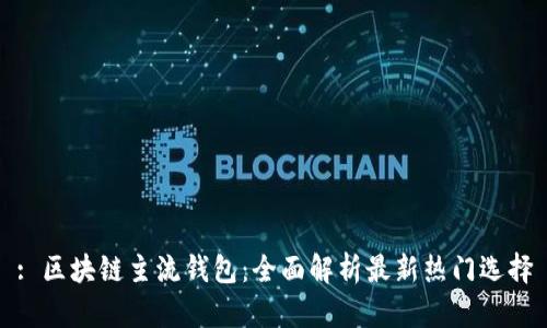 : 区块链主流钱包:全面解析最新热门选择