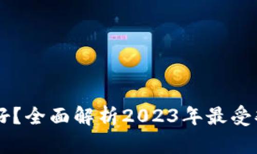 中国数字钱包哪个好?全面解析2023年最受欢迎的数字钱包应用