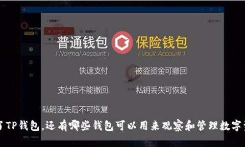 除了TP钱包,还有哪些钱包可以用来观察和管理数字资产