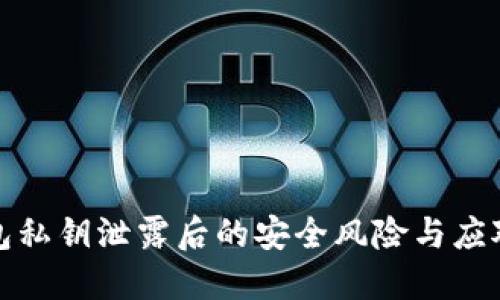 TP钱包私钥泄露后的安全风险与应对策略