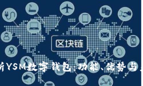 全面解析YSM数字钱包:功能、优势与未来发展