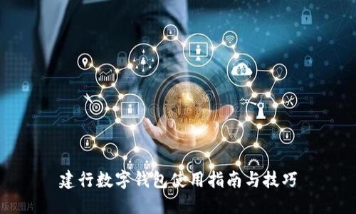 建行数字钱包使用指南与技巧