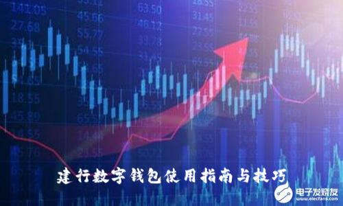 建行数字钱包使用指南与技巧