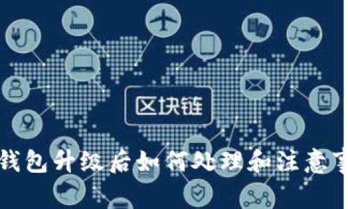 TP钱包升级后如何处理和注意事项